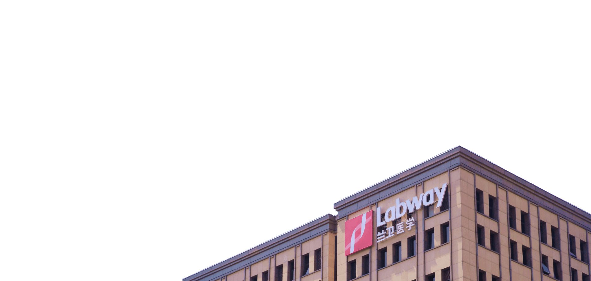 新澳门2024免费原料网